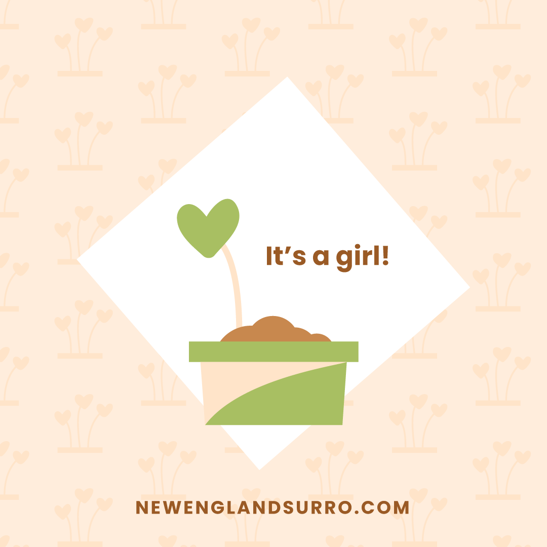 NESurrogacy's tweet photo. It's a GIRL! Congratulations new parents W &amp; J! This is such a wonderful time for your growing family. Also, a special thank you to gestational carrier, S, for all her dedication in growing this beautiful bundle! #ConceivingBrightFutures #NewEnglandSurrogacy #Surrogacy #ItsAGirl https://t.co/FKwj7CammM