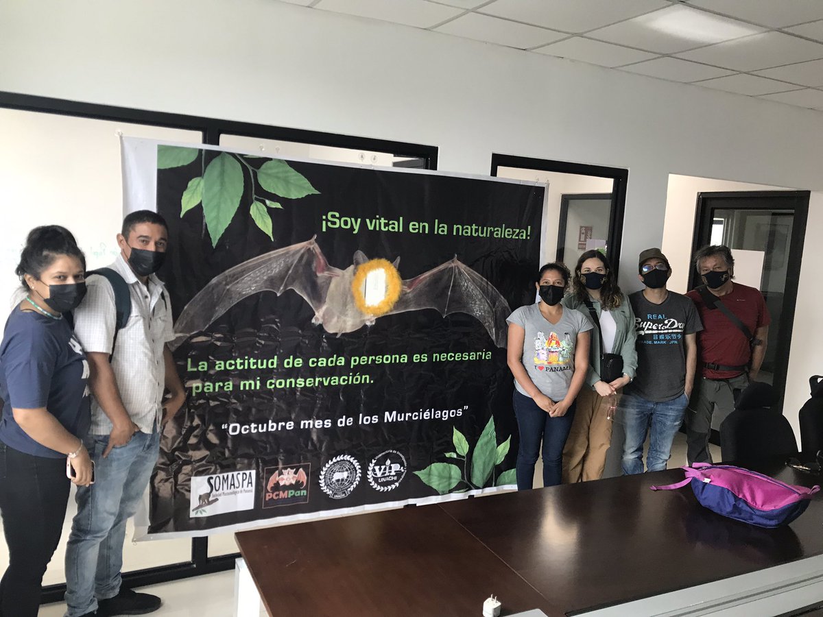 jorgelpino's tweet photo. Reunión de trabajo con miembros internacionales (México) del Proyecto Anfibios en la Unión de las Américas en @UNACHIpanama Muchos datos de ecología térmica de anfibios de Panamá @senacyt @heribertofranco @SNI_Panama @lvoltas @fsilvera03 👍👍👍 @MIXILAA https://t.co/bpgFS4icPT
