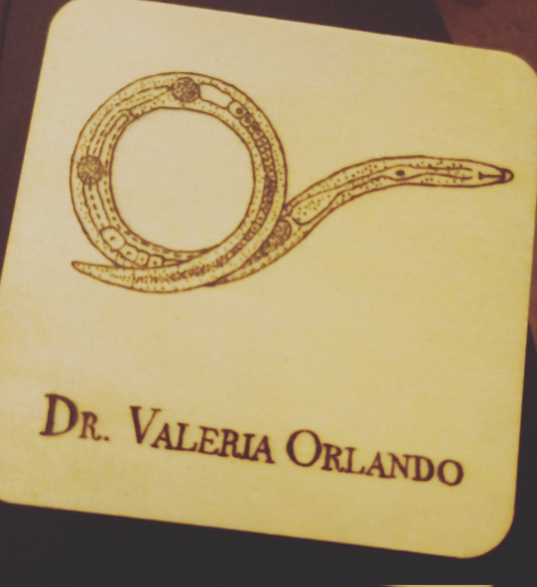 Valeria Orlando tweet media