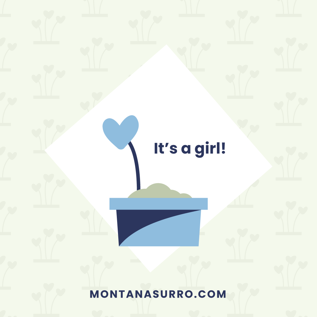 MTSurro's tweet photo. It's a GIRL! Congratulations new parents W &amp; J! This is such a wonderful time for your growing family. Also, a special thank you to gestational carrier, S, for all her dedication in growing this beautiful bundle! #ConceivingBrightFutures #MontanaSurrogacy #Surrogacy #ItsAGirl https://t.co/NUM0GkkFRT