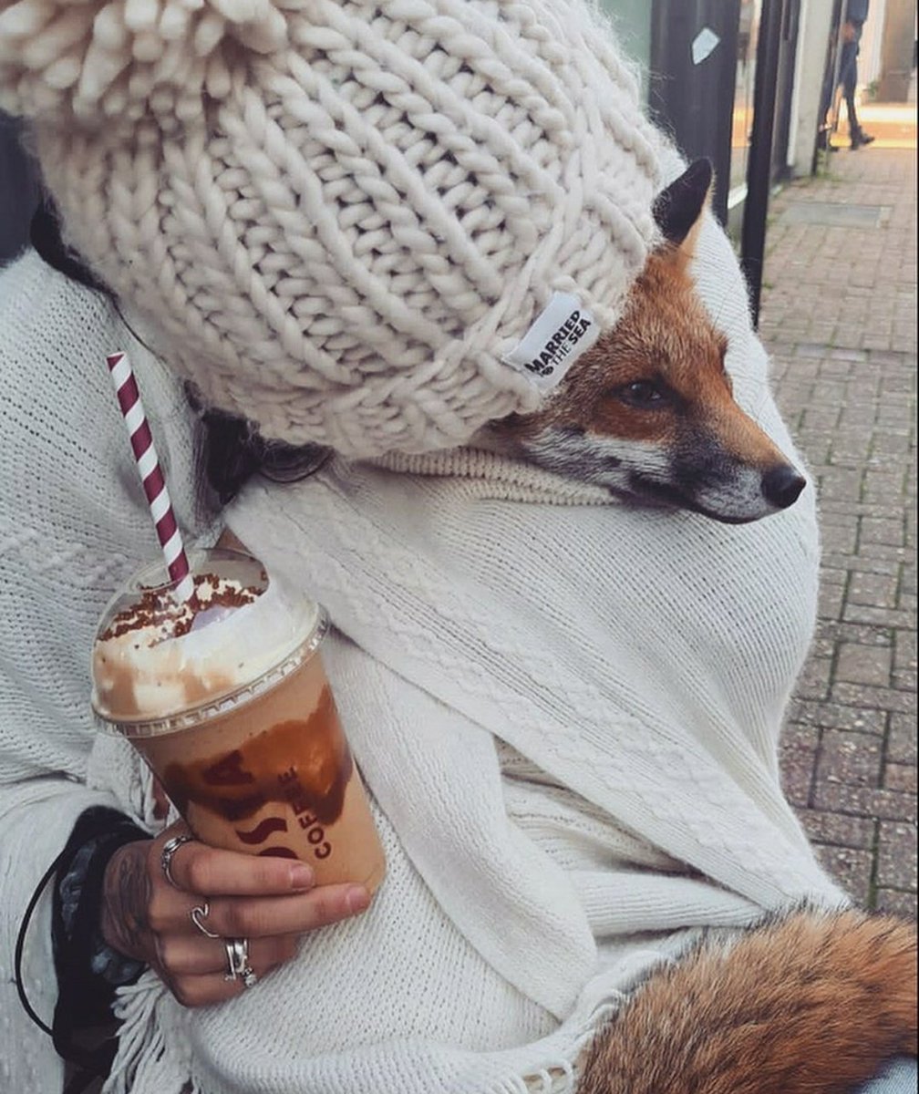 Keep your fox warm

#dailyfox