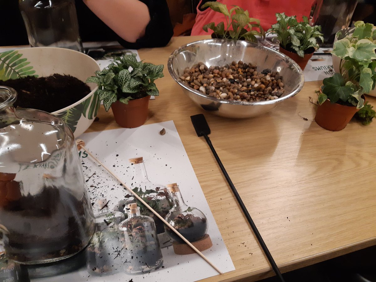 CJ_Colbourn's tweet photo. Great workshop with #londonterrariumsyork as part of @yorkdesignweek
#miniecosystem #houseplants https://t.co/f7lokjzGha