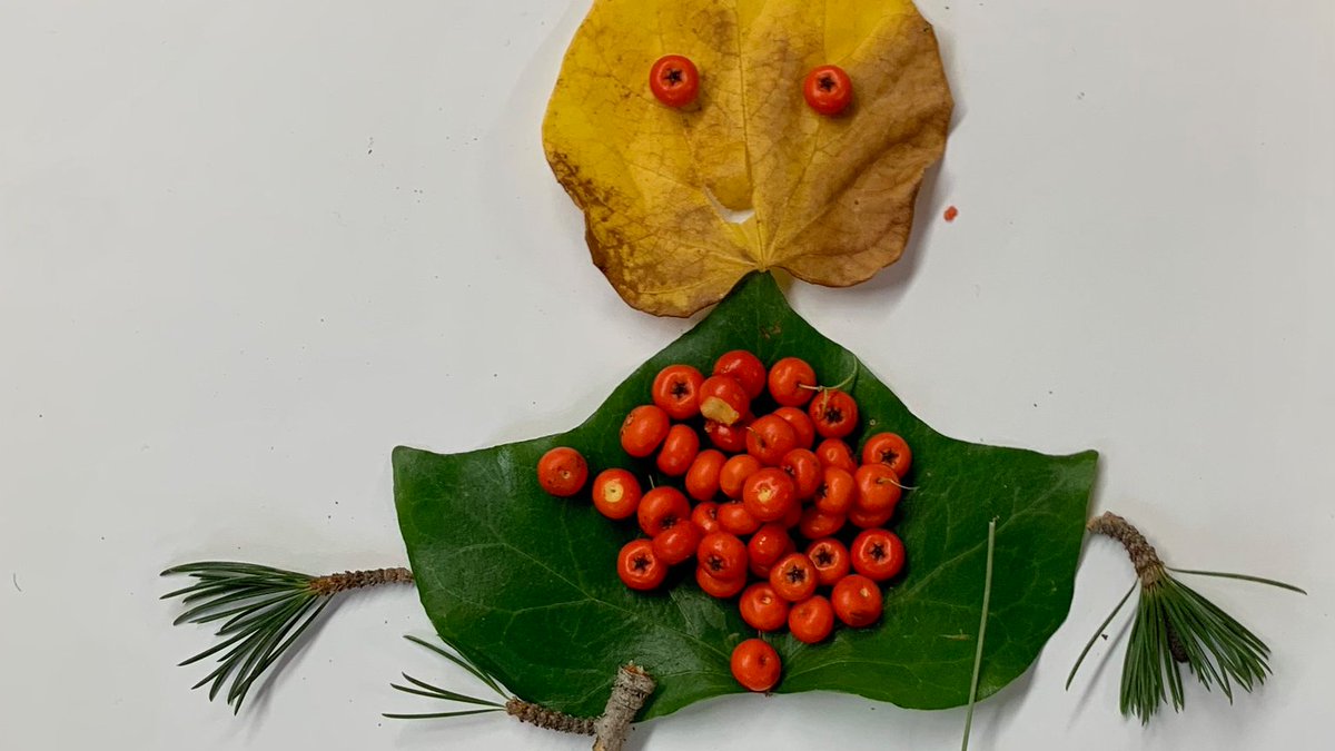kidletscience's tweet photo. Reinforcing our learning about plant parts this week in Science by making #LeafMan by @lois_ehlert after a long walk across our campus collecting Fall's bounty.  #Kindergarten @HillbrookSchool #elementaryscience
#fall https://t.co/HKouolzVvi