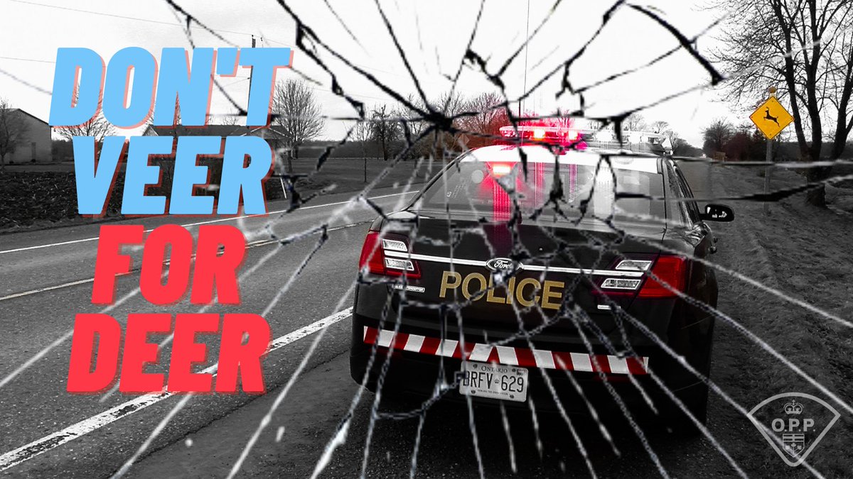 It's peak time for deer, so always pay attention to what's going on around you while you're behind the wheel.  Never swerve suddenly.  Always reduce your speed quickly, steer straight and stay in control. #RoadSafety ^dr