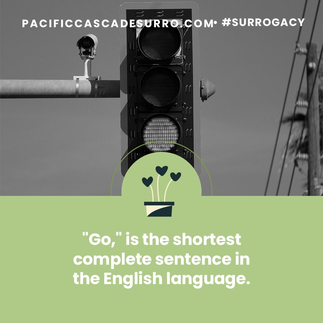PCSurro's tweet photo. #GrowingFamilies #BrightFuturesFamilies #FunFactFriday #Go #English #ColoradoSurrogacy #Surrogacy https://t.co/KBZcVGM26C