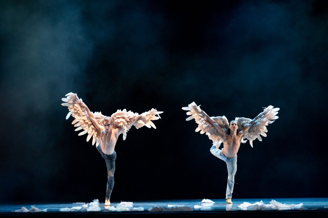 ChooseChicago's tweet photo. It's the final days to see the @joffreyballet's season opener show! No better way to capture #ChicagoCreativeSpirit than see the world-renowned company on the iconic @Lyricopera stage. Just look at these photos. 👀

Buy tickets: https://t.co/DYGyyN8fSV https://t.co/ZrL7cxB76X