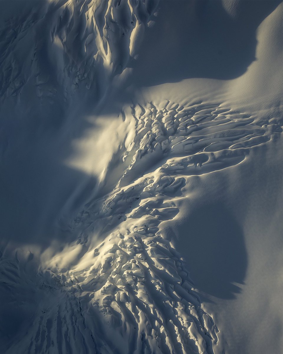 Lee Cook tweet media