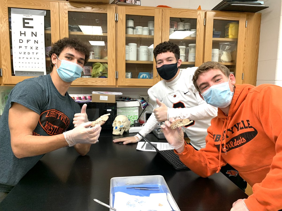 LHSPsychology's tweet photo. To quote a student in 6th period, “today was a bucket list day”! Thank you Dr. Kreutz and Mrs. Owens for lending your classroom to all psychology students as they performed sheep brain surgery 🧠✨ https://t.co/wCoIXideHy