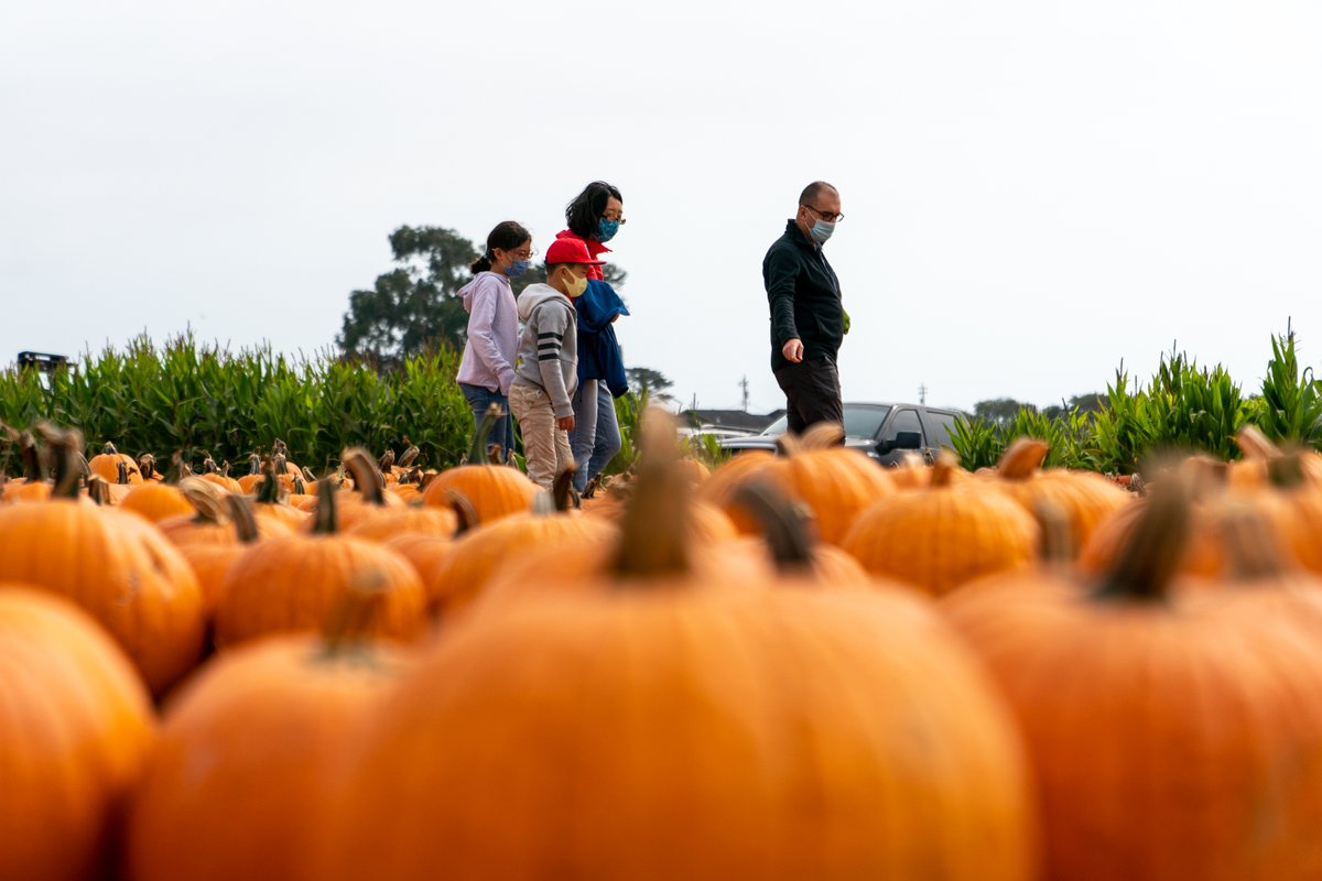 Adam Pardee tweet media