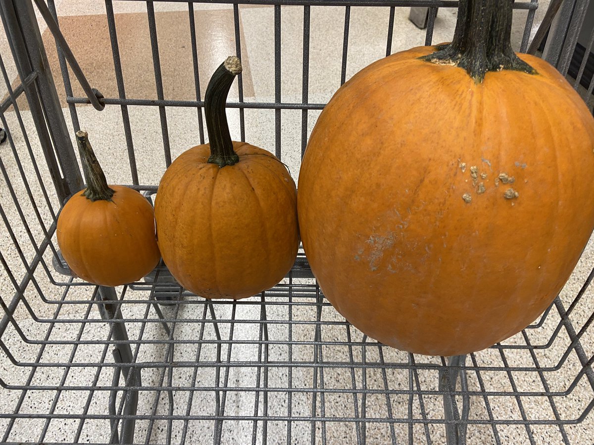 What’s does Ms. Williams have planned for next week 🤔@LCPS_DL
