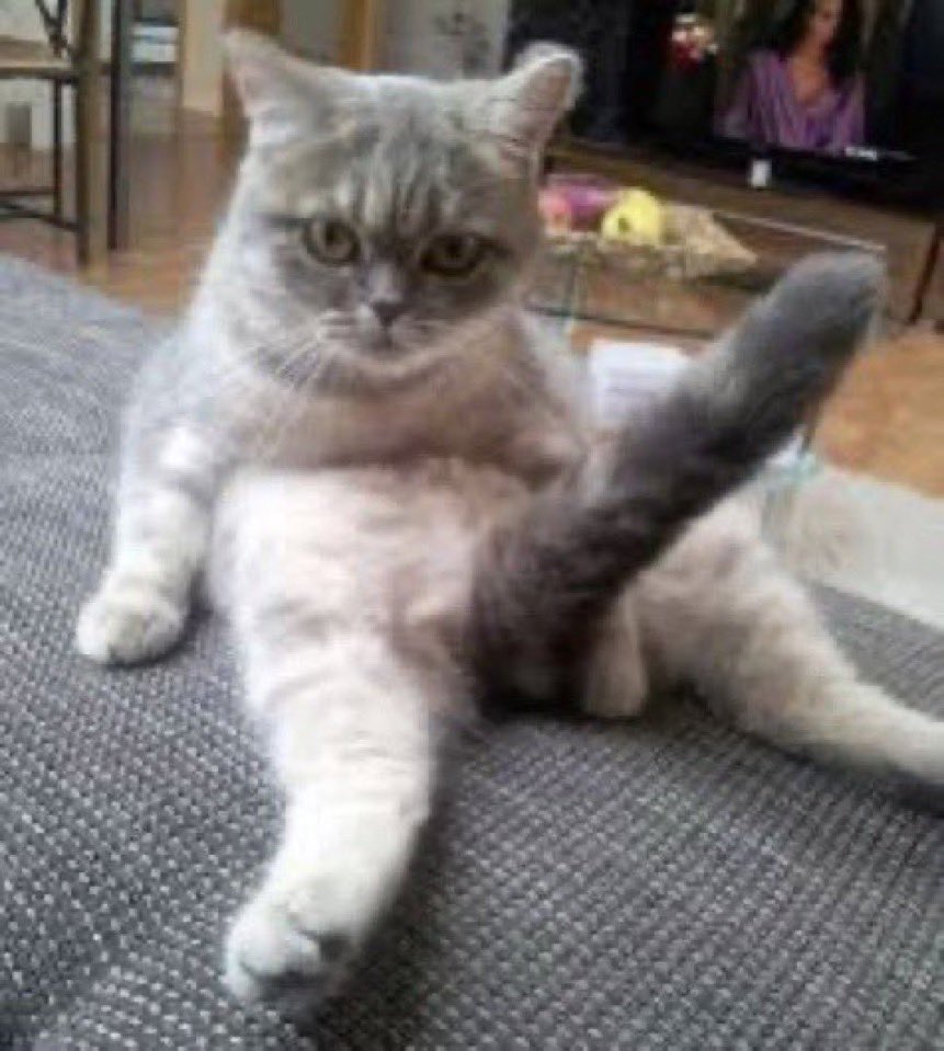 stromey1x's tweet photo. @yeSloth All i see is one sexy mf https://t.co/xrUO9Xh7oU