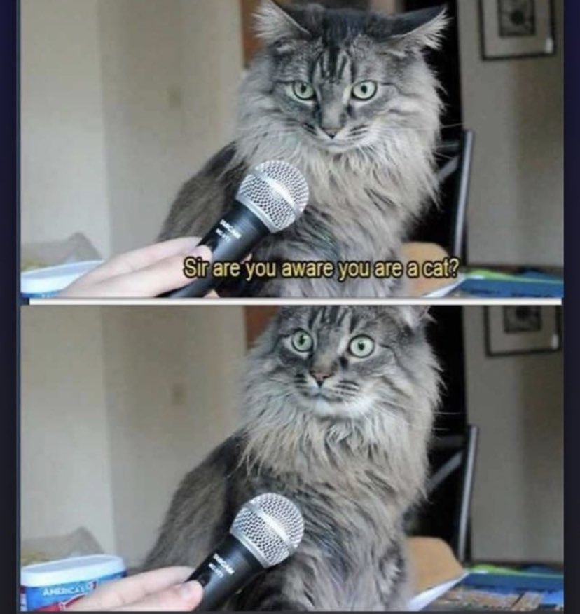 WholesomeMemes tweet media
