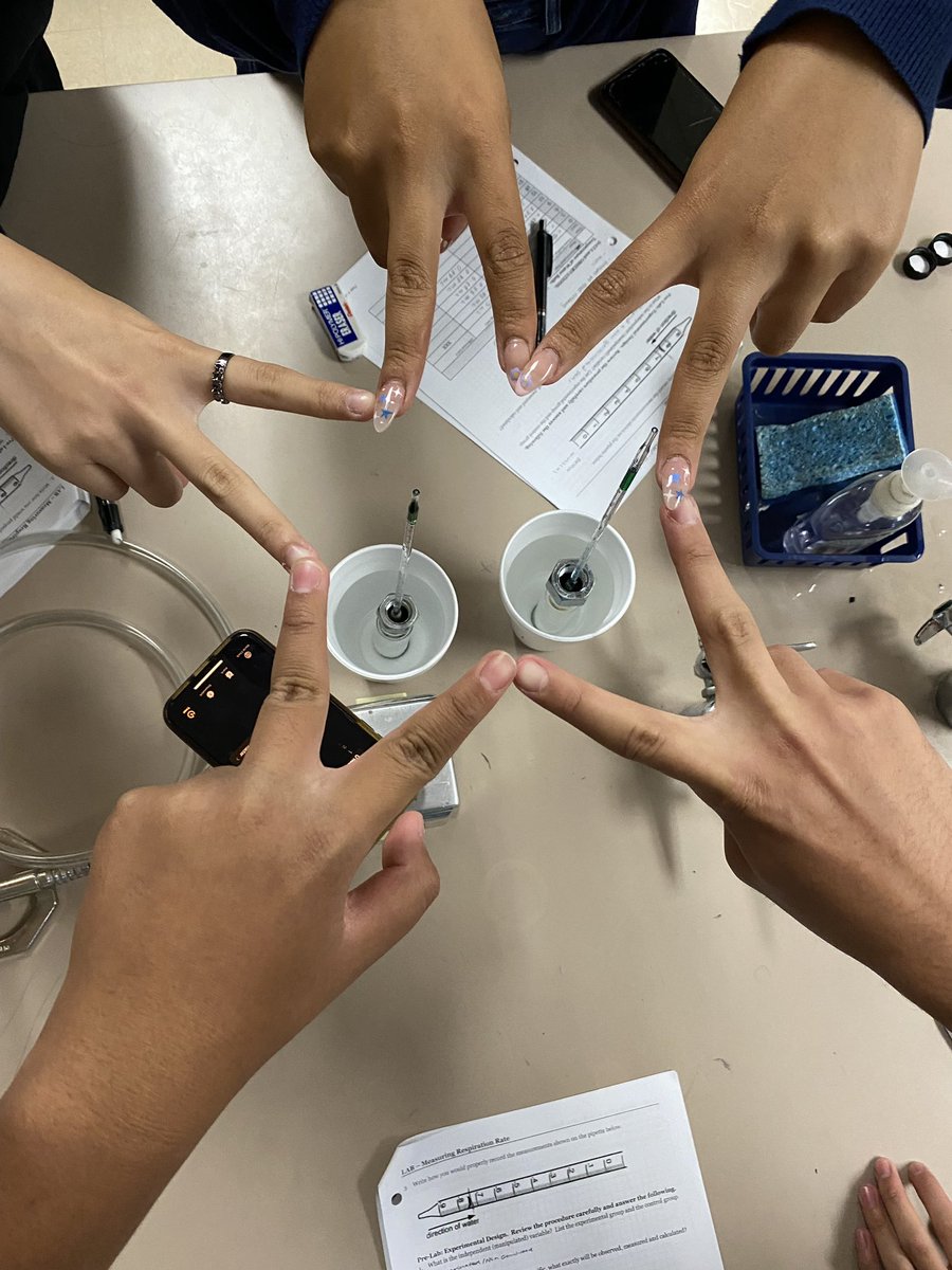 JWhiteScience's tweet photo. AP Bio students showing some love ❤️ as they measure the respiration rate of their baby peas 🌱 @phs_tritons https://t.co/Kn3YrY8XYx