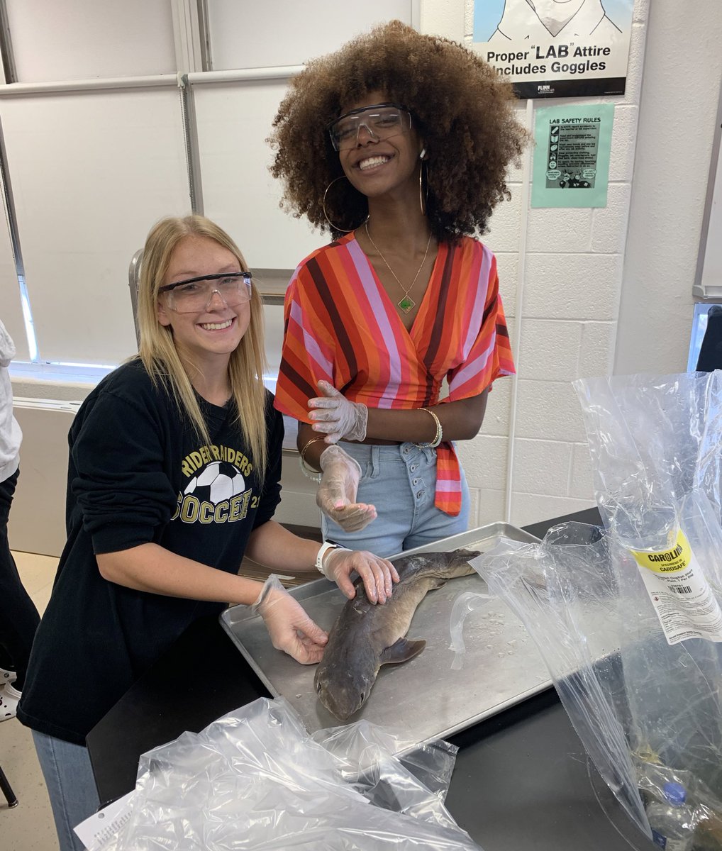 ThBryceisRight_'s tweet photo. EWW! What’s that smell!? It’s sharks! 🦈 👃🏻 🤢
Honors A&amp;P kicked off their dissection of Squalus acanthias today! #HendersonScience #iamwfisd #ROHORideOnTogether21 #handsonlearning #STEM #80sDay https://t.co/mTBDPzImSS