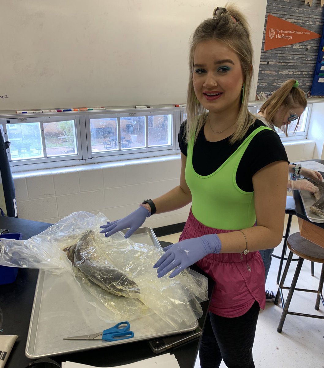 ThBryceisRight_'s tweet photo. EWW! What’s that smell!? It’s sharks! 🦈 👃🏻 🤢
Honors A&amp;P kicked off their dissection of Squalus acanthias today! #HendersonScience #iamwfisd #ROHORideOnTogether21 #handsonlearning #STEM #80sDay https://t.co/mTBDPzImSS