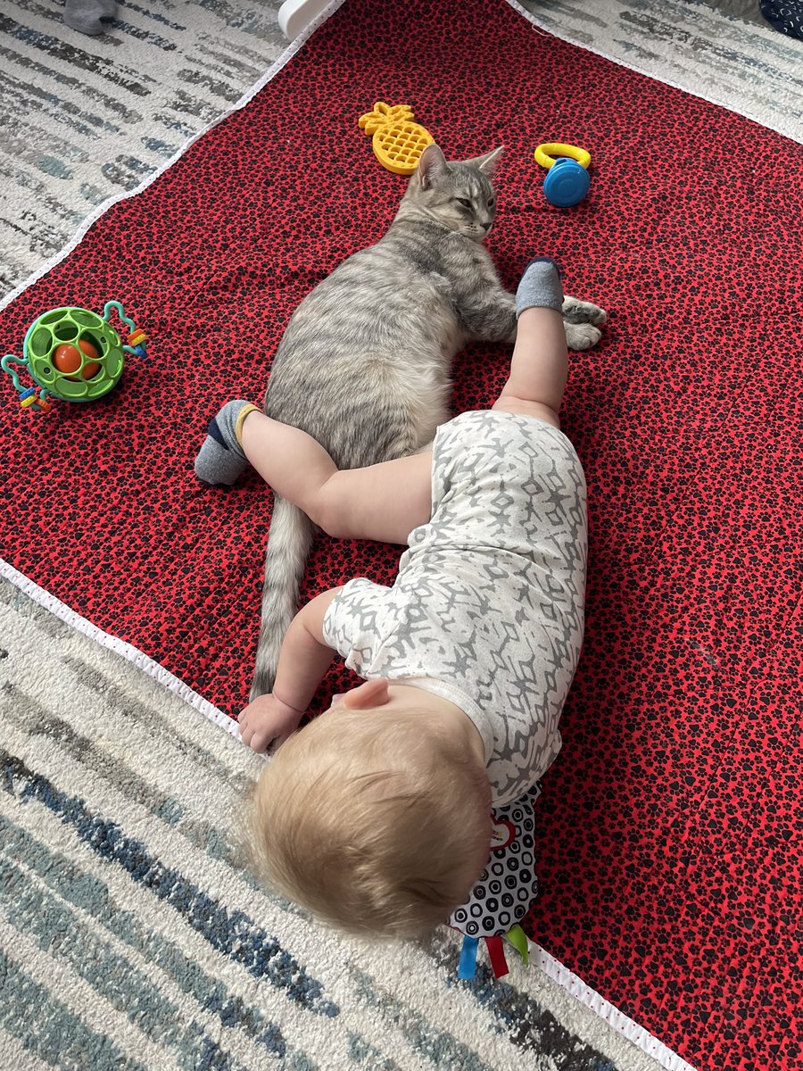 MollyHodges_'s tweet photo. Just a boy and his cat. https://t.co/cplE2gQ5cl
