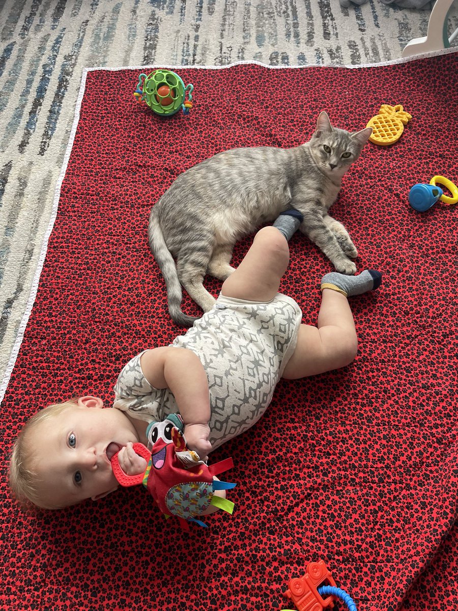 MollyHodges_'s tweet photo. Just a boy and his cat. https://t.co/cplE2gQ5cl