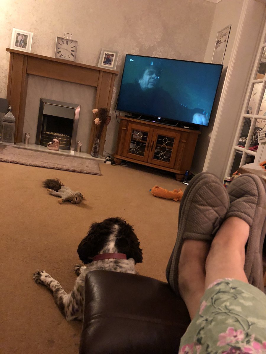 bennett0898's tweet photo. Holly on full alert after hearing your screams @SallyAnMatthews 😱😱😓😓 https://t.co/V8KWgZD76r