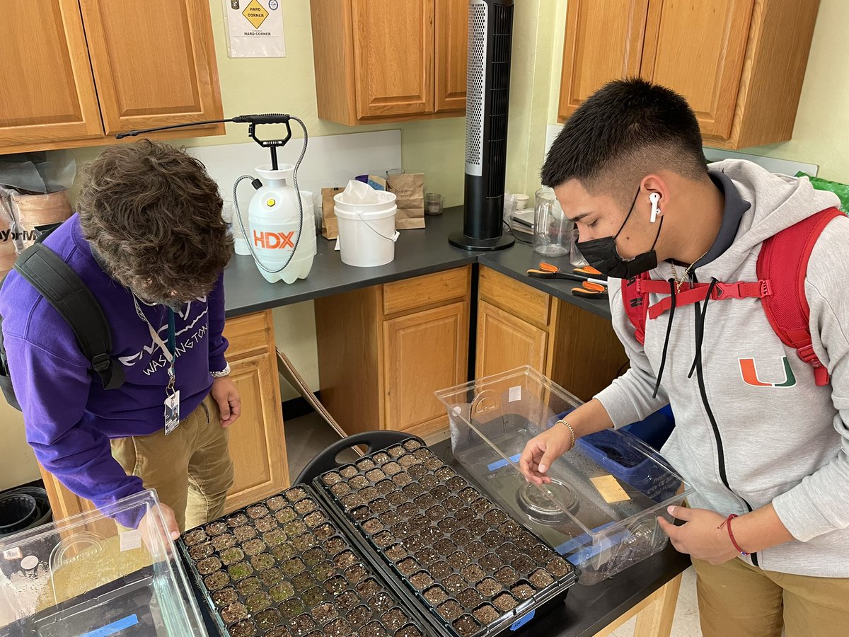 andrewkearns64's tweet photo. #APStatistics students at @josemartimast maintaining their experiments and collecting data. #ExperimentalDesign #CollectingData #MakingStatsReal ππΏ #mast2122 @AP_Trevor @MiamiSup @verenanro @STEAMDesignated @SMdcps @FairchildGarden @JennPossley @DadeFNPS https://t.co/BFNaSUuukG