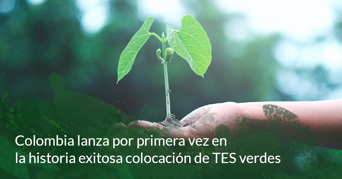 🇨🇴Colombia se convirtió en el primer Gobierno de Latinoamérica en vender bonos verdes en el mercado local. La primera emisión fue por cerca de USD 200 millones en títulos con vencimiento en 10 años. Te contamos todo aquí: bit.ly/GFLColombiaTES
