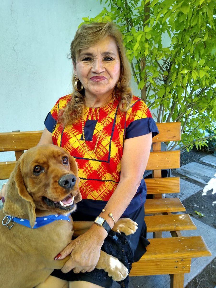 Romeo Sanz ☕️💾 tweet media