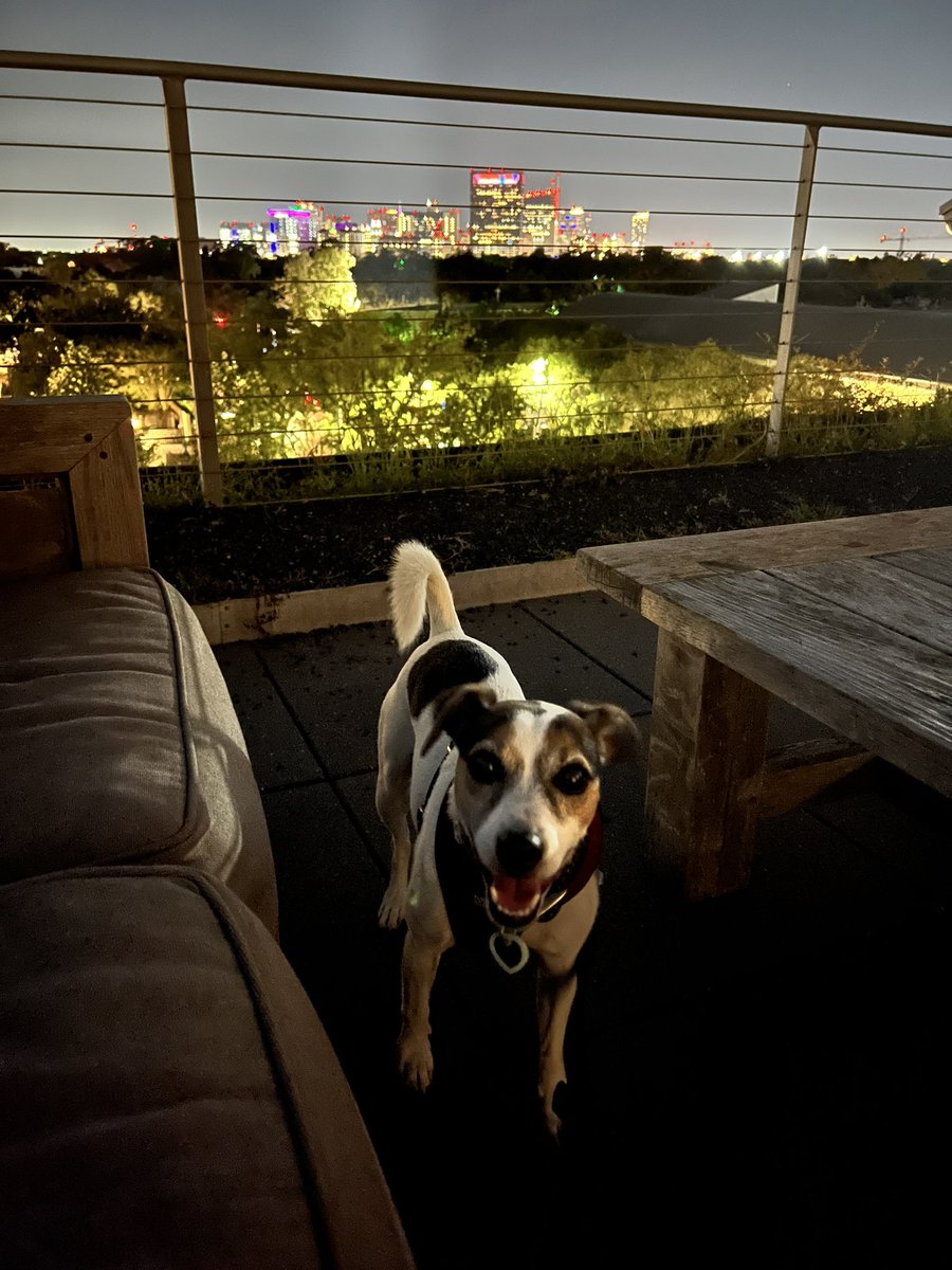 brinaUH's tweet photo. @subaru_usa Wine down on the roof garden https://t.co/5E0TxNsU9z