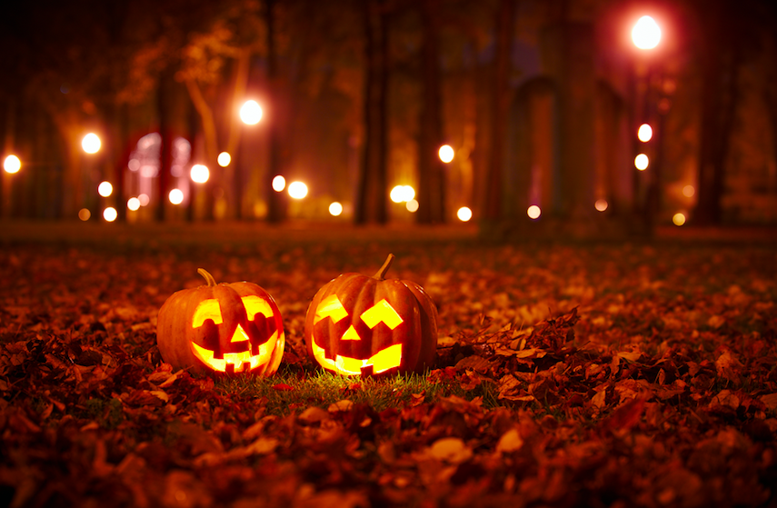 PointComfort_Tr's tweet photo. Frightfully delightful travel insurance!

https://t.co/KWodimEMLc

#travelinsurance #coverednotcovered #internationaltravel #medicalinsurance  #ghosts #hauntedhouses #internationalhaunts https://t.co/y7iFjweY4m