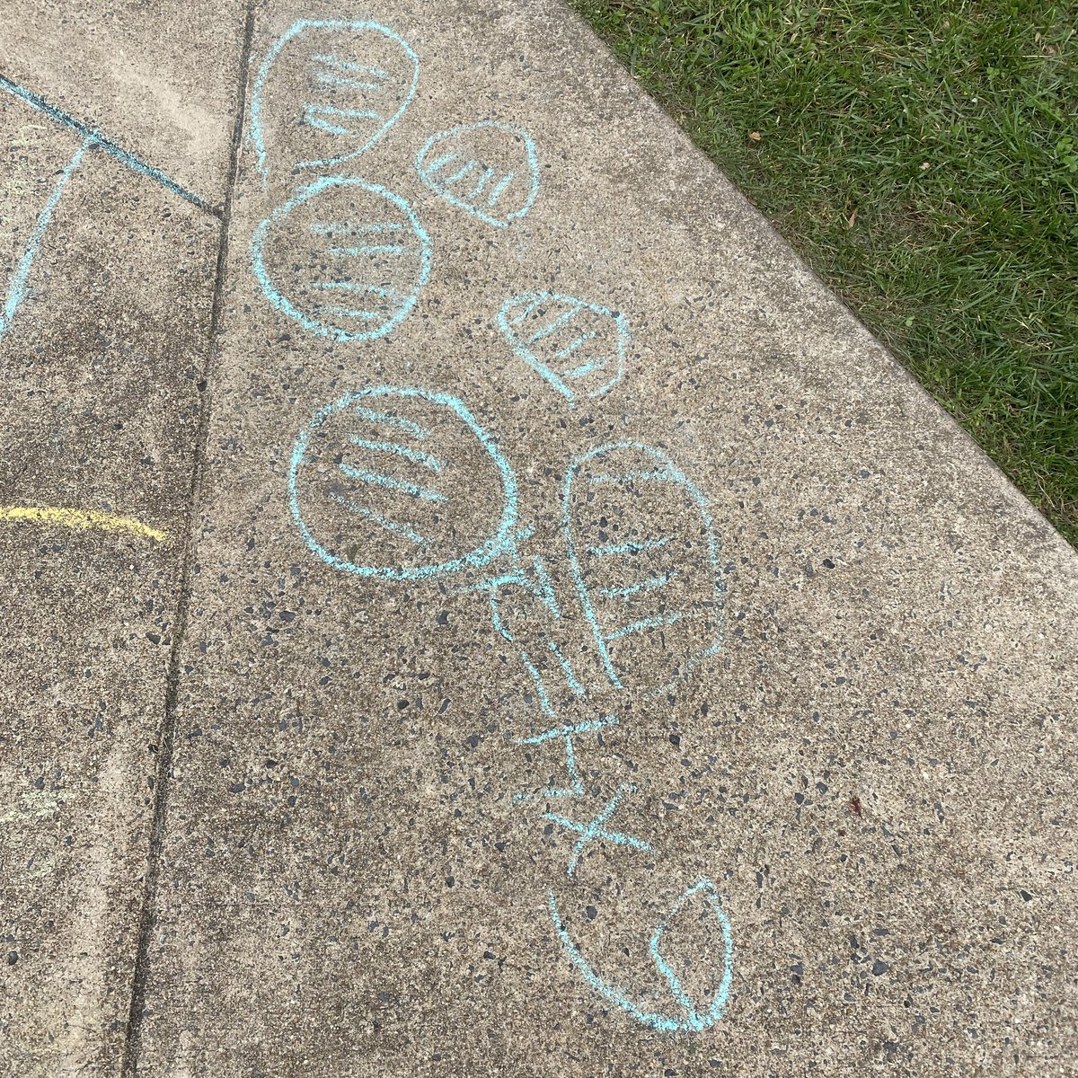 Ms. Neuhart tweet media