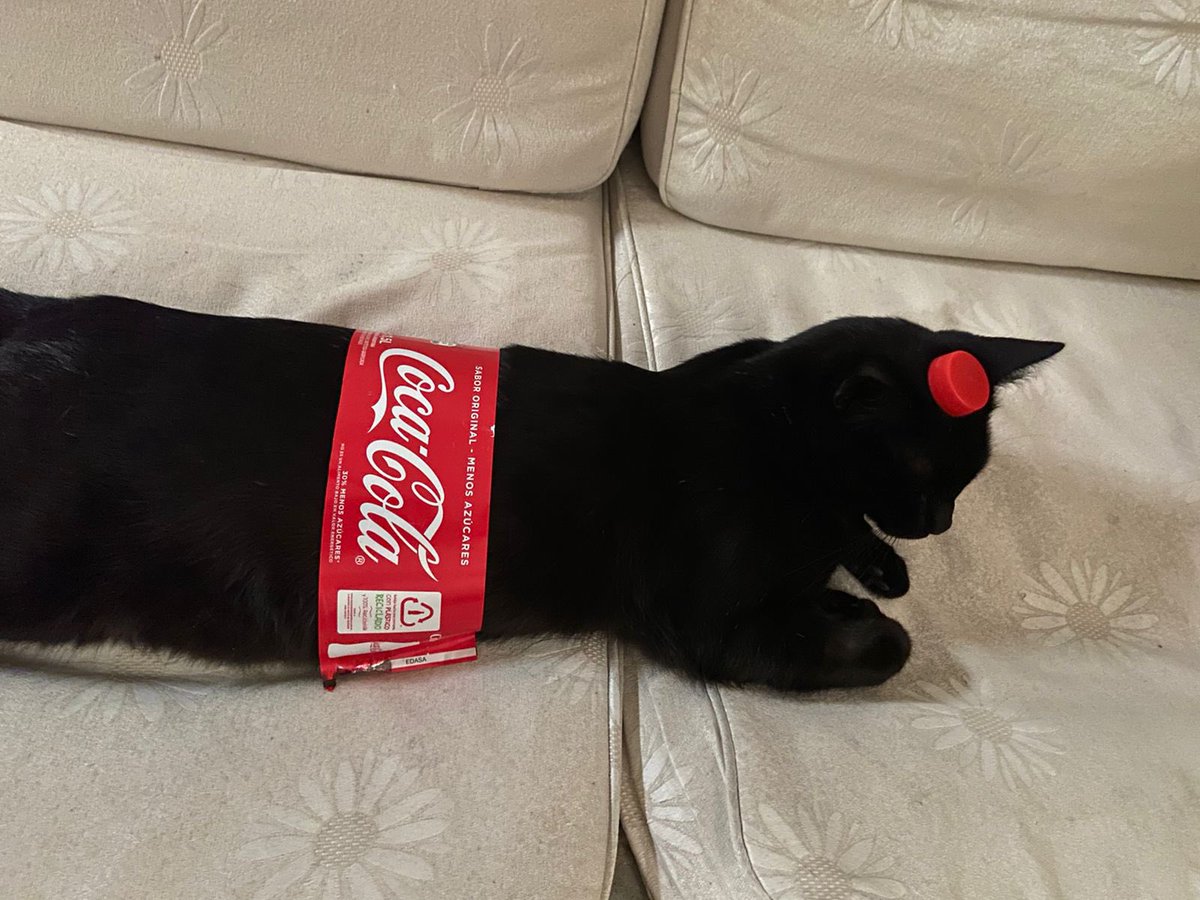 GuidoCarletto's tweet photo. Mi gato listo para halloween pasen ubi https://t.co/pXSZ8tgHe5