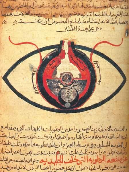 S99di's tweet photo. بفضل من الله تم قبولي في برنامج اختصاص طب وجراحة العيون في تركيا. أسأل الله العظيم أن يجعلني ناصرا للدين وخادما للإسلام والمسلمين وأن يستعملني في طاعته.
أتوجه بأسمى آيات الشكر والعرفان لكل من ساندني وأعانني في رحلتي وفي مقدمتهم والدي ووالدتي أدامهم الله تاجا على رأسي. https://t.co/FVJKS1UNzX