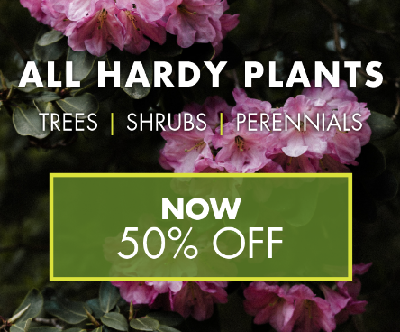Cole Gardens (@colegardens) on Twitter photo 