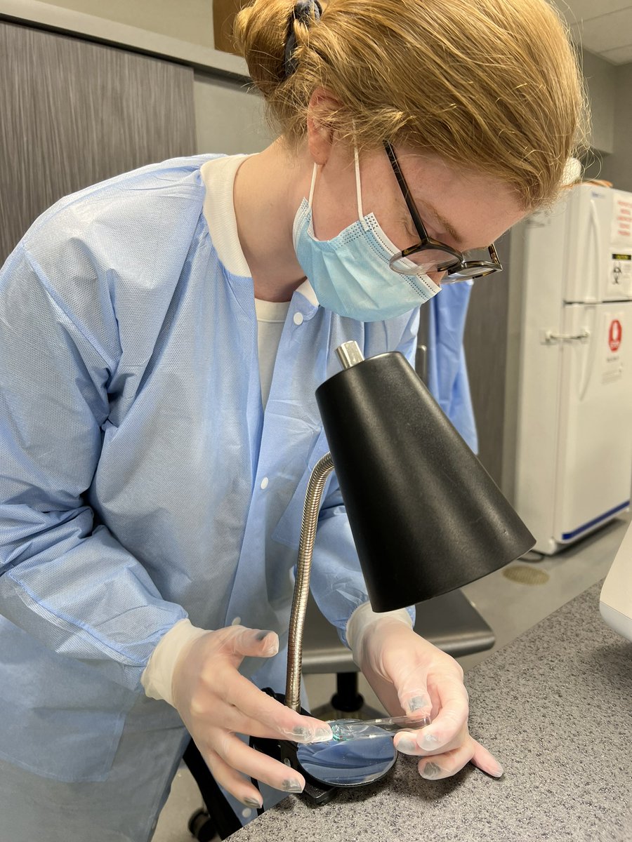 MLSatLoyola's tweet photo. Our student @allyssa_fogarty today during her blood bank workshop! 🩸 Allyssa manually washed all of her panel cells today! Go Allyssa!  #IamASCLS #Lab4Life @ASCP_Chicago @ASCLS @LoyolaParkinson https://t.co/cHHEa3OvKK