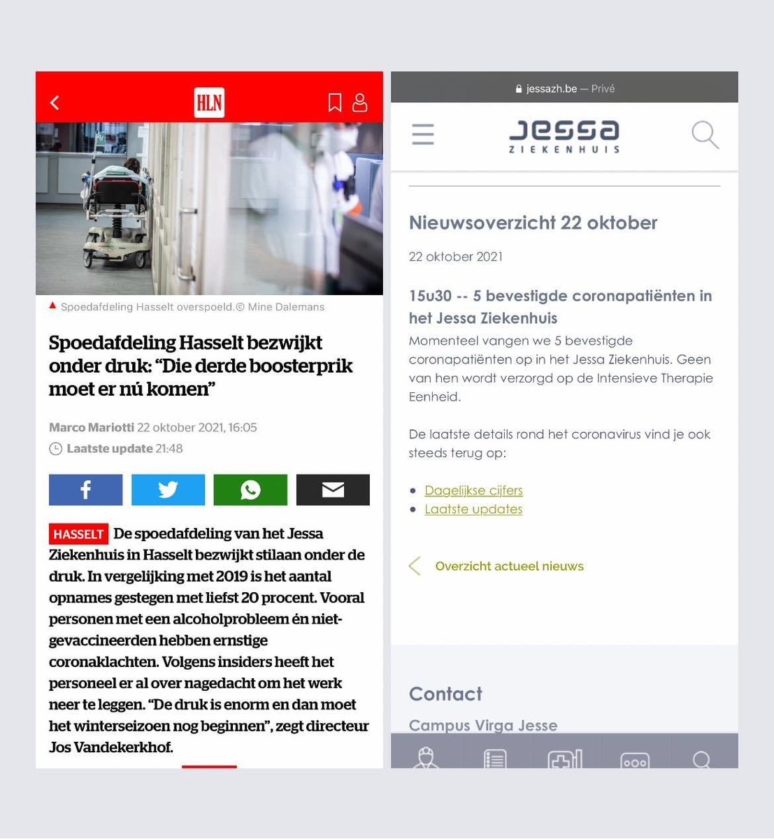 Alexandra d’Archambeau tweet media