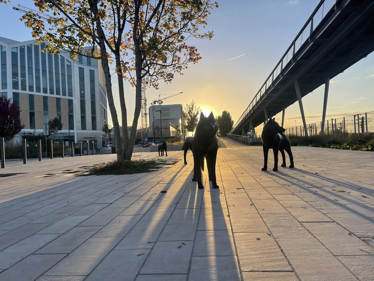 Une bien belle surprise est apparue en rentrant du travail - Merci @Angers ✨

#InstAngers #Angers #Angersemoi #IgersAnjou #Angersmaville #Anjou #Gare #SNCF #Sunset