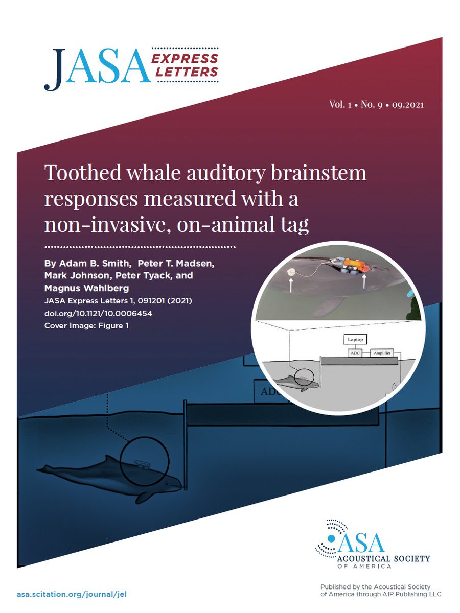 JASA Express Letters tweet media