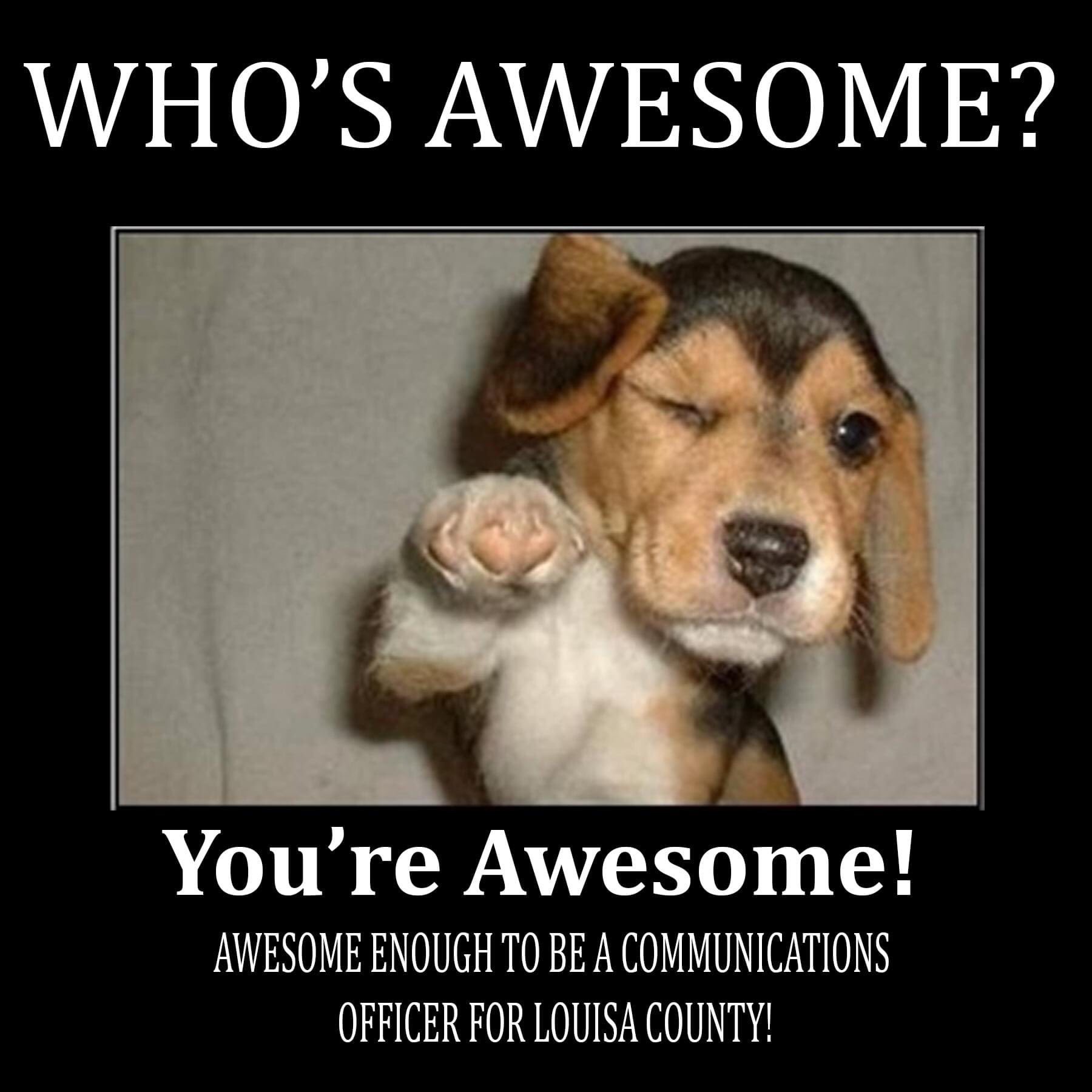 Louisa County Sheriff on X: "LCSO is looking for a couple of awesome people  to join our family! Download our app. No experience is necessary, annual  salary is $40,000.00. We look forward
