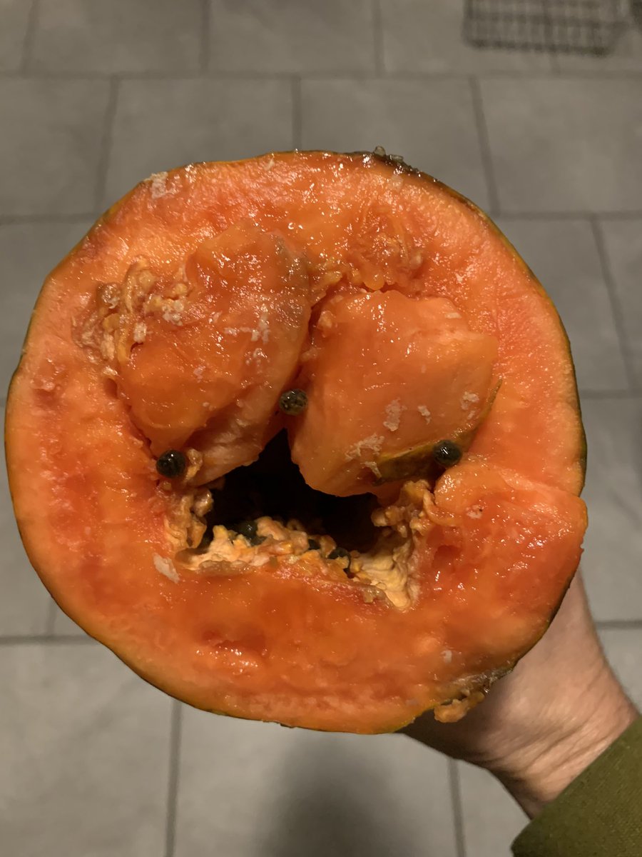 Aaron_English's tweet photo. My papaya is all, like, โNo, Iโll eat YOU. GRAAARRHH!โ
#pareidolia #foodwithfaces #iseefaces #facesinfood #faceseverywhere https://t.co/hqArfVjylR