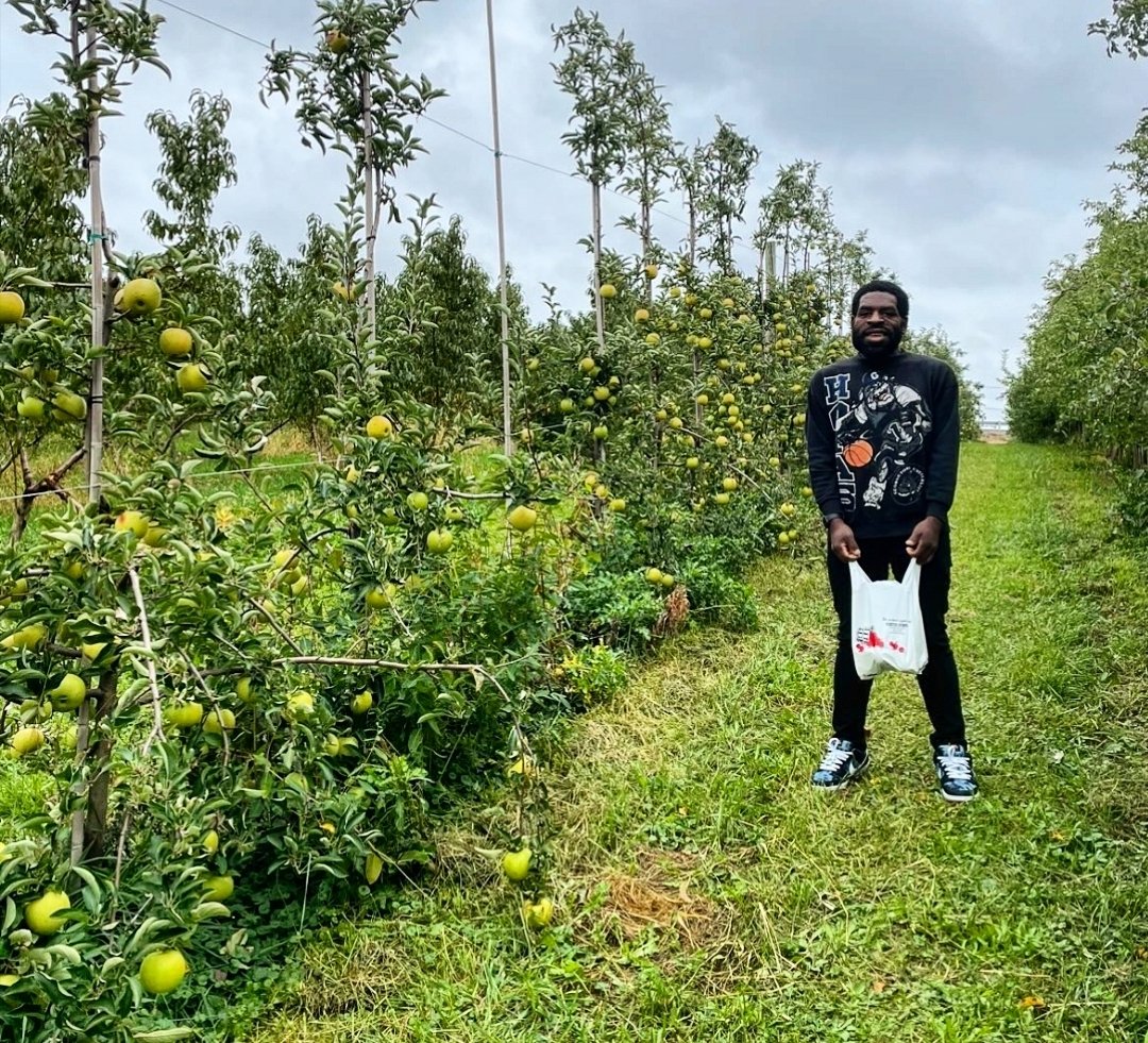NifMuhammad's tweet photo. went to pick some apples but couldn't leave without picking up a few buckets https://t.co/sS3Px35a5i