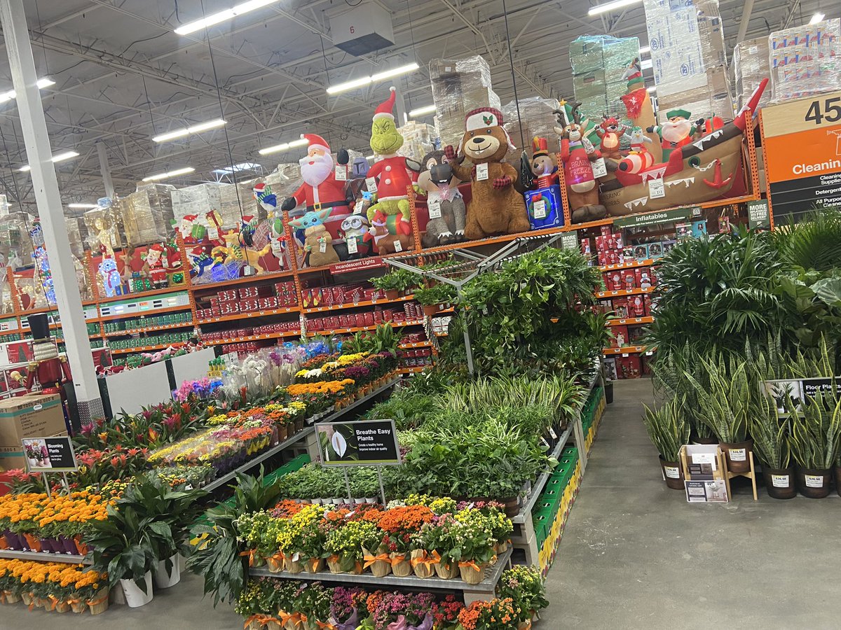 JeannineJozwiak's tweet photo. New Tropical Reset... so exciting @BrianShugParker @FrommholzM @GardenGroveHD https://t.co/3jXu4LjGKs