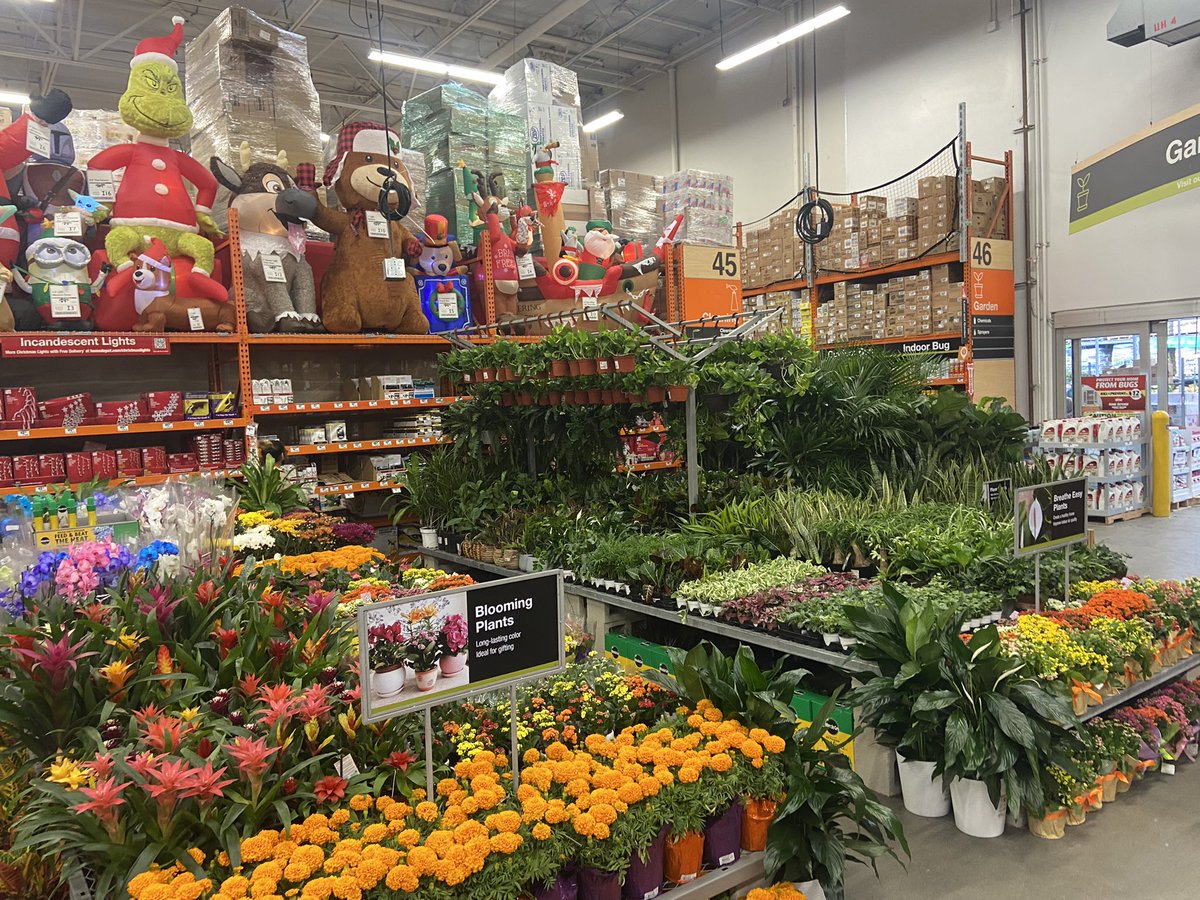 JeannineJozwiak's tweet photo. New Tropical Reset... so exciting @BrianShugParker @FrommholzM @GardenGroveHD https://t.co/3jXu4LjGKs