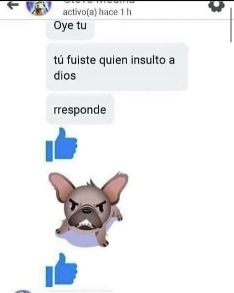 ara 🐇 tweet media