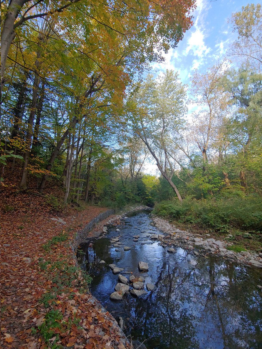 My favorite sound is that of a running creek. After sitting in my den looking at modelled streams all week, I decided it's time for my fix of a real one. This is what West Highland Creek looks like on a fine fall evening, just a short walk from my home.