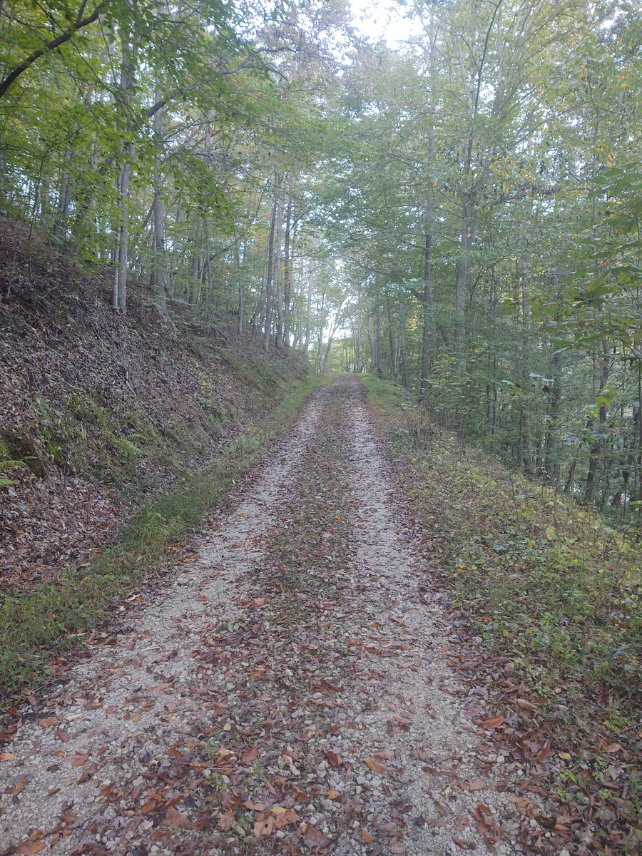 rwbrumfield's tweet photo. Not a bad week: great visit from @SHEEOed @HigherEd_Rob @DTandberg with @WVHEPC @WVCTC; outstanding day with students, faculty, and staff @WVStateU ; a quiet fall hike in the Portercamp holler @WVStateParks, and 'almost heaven' @TudorsBiscuits 👍 https://t.co/eAfJsmRG2B