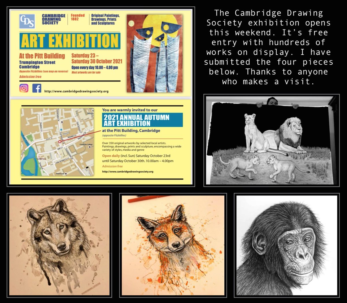 Shane Swann Art tweet media