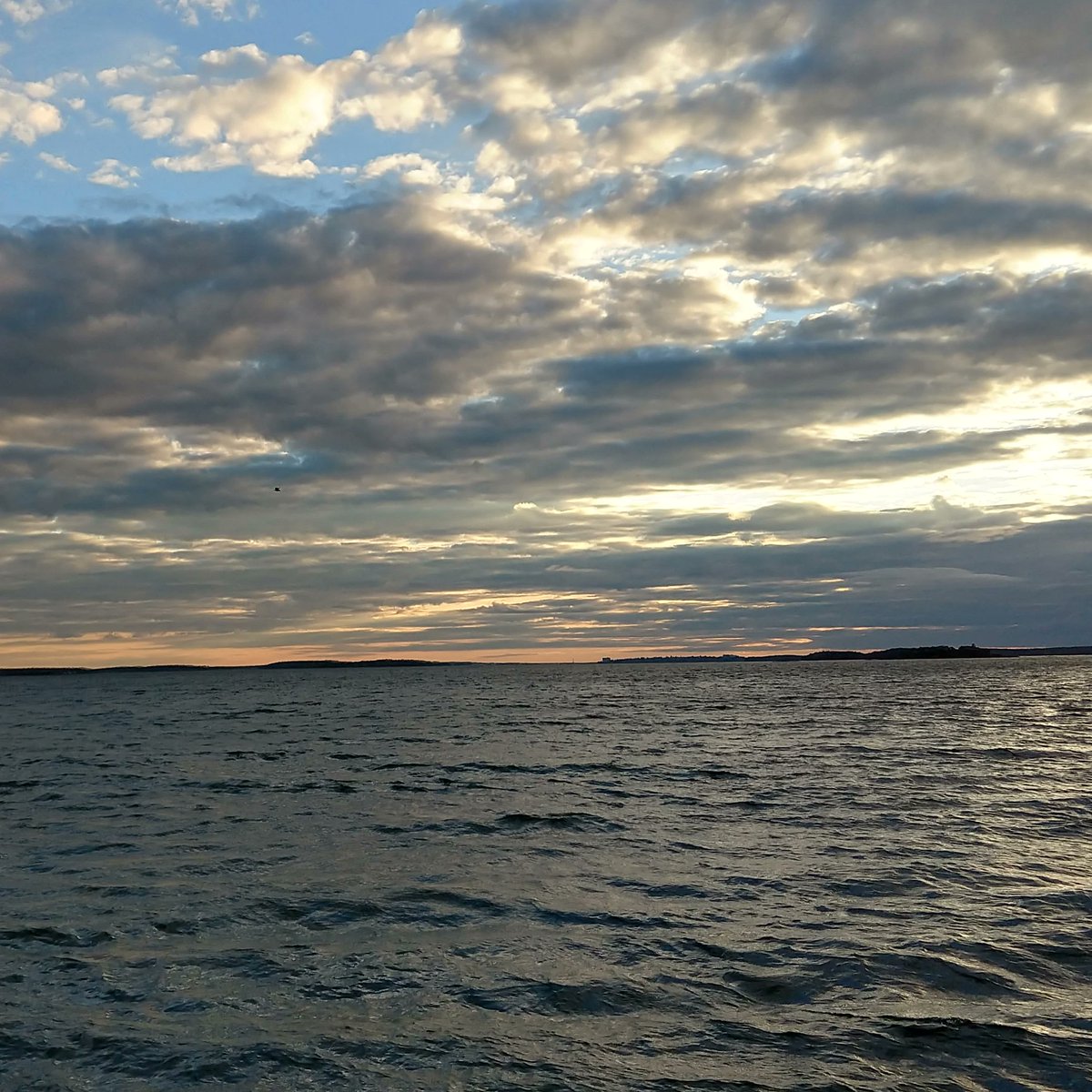 mellanella's tweet photo. This is the best time of year for riding the ferry.
#chebeague #cascobay https://t.co/Ze48lc4fBf
