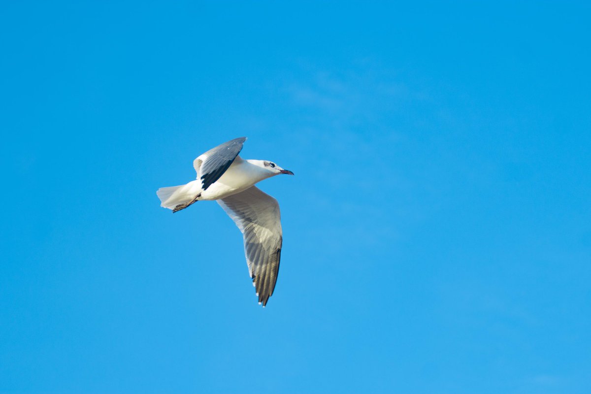 went to watch the sunrise the other morning 🌊