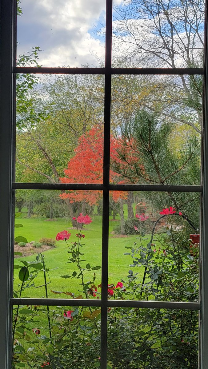 Academy911's tweet photo. @NWSChicago it's finally happening.
Falling, yes I am falling
And she keeps calling
Me back again ...
#weatherwatch #watchweather #partlysunny #weatherspotter #weatheringwithyou #homesweethome #Chicago #Illinois #USA πΊπ²
#fallcolors #fallfoliage #fallinginlovewithyou https://t.co/UtMBweqkAP