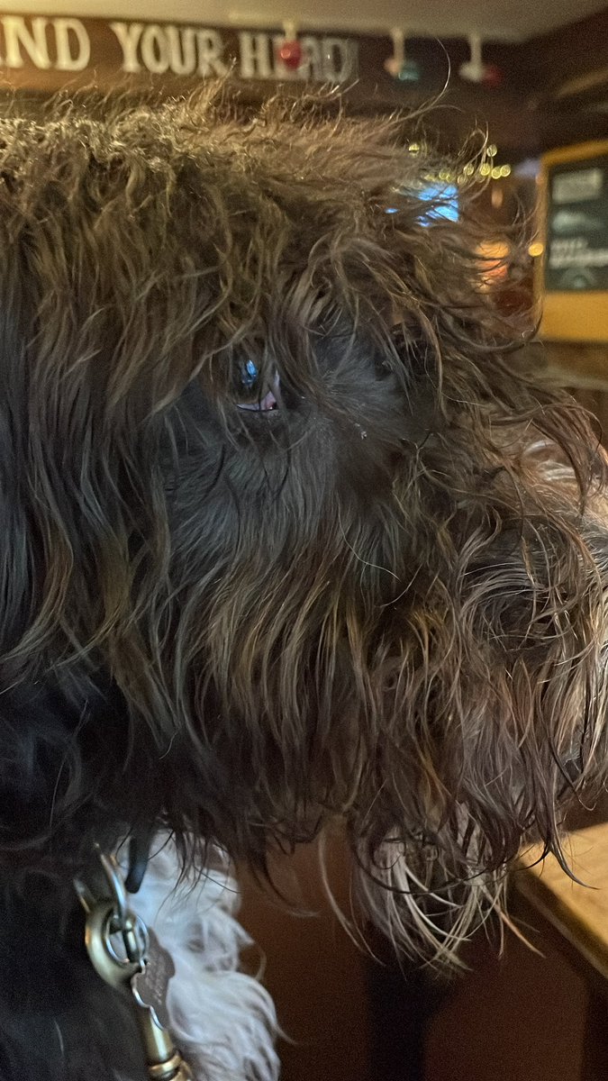 BiscuitSkipper's tweet photo. Down the pub today with Dad https://t.co/ZM0guJDCXo
