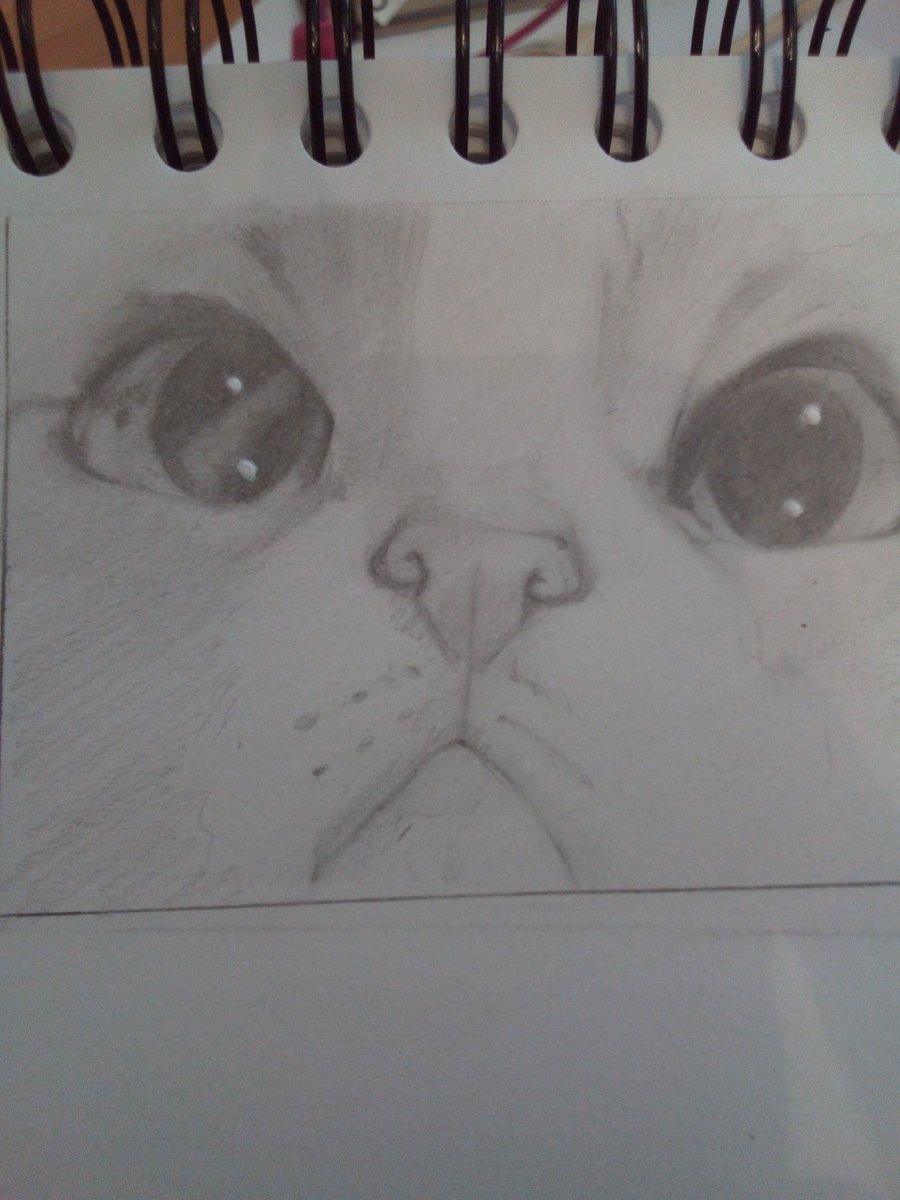 Lupoxvector1's tweet photo. Small drawing of my cat Lola. She is such a cute and kind cat 😺
#ArtistOnTwitter #Artwork #drawing #sketch #artist #traditionalart #cat #pet #petart
#Pencildrawing #pencilart #sketchart #sketchbook #realisticart #realism #small #pencilsketch https://t.co/00vlsn3L2n