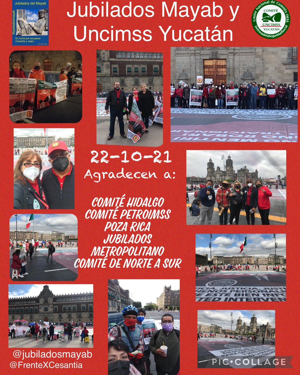 karinaafort's tweet photo. @JubiladosMayab Agradece el esfuerzo de integrantes del @FrenteXCesantia los comités que han hecho presencia en el zócalo y del acompañamiento y tenacidad del Comité jurídico que ha sostenido reuniones virtuales y acercamientos con #SCJN  #lafuerzadelfrenteestaenlaluchadesugente https://t.co/0SeQ1UGX0q